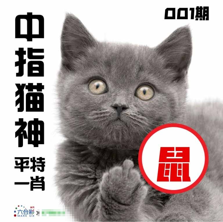 001期中指猫神[图]