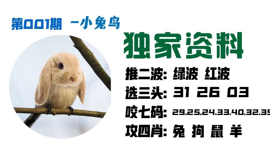 001期小兔鸟[图]